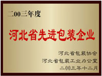 零叁年先進包裝企業 零叁年先進包裝企業